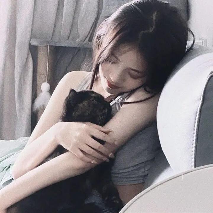 机器战犬